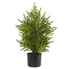 2’ Norfolk Island Pine “Natural Look” Artificial Christmas Tree in Decorative Planter