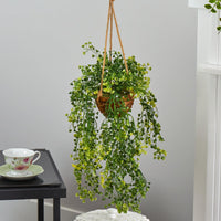 20” Baby Tear Artificial Plant in Hanging Basket