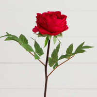 20"Artificial Peony Flower Stems - Set of 3