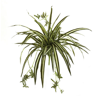 23” Artificial Spider Plant Bush (Set of 4)