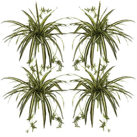 23” Artificial Spider Plant Bush (Set of 4)
