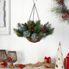 24" Holiday Pre-Lit (30 LED Lights) Artificial Pine and Berries Hanging Basket"