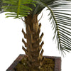 3’ Cycas Artificial Tree in Wood Planter