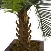 3’ Cycas Artificial Tree in Wood Planter