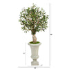 3.5’ Olive Artificial Tree in Sand Colored Urn