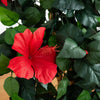 4’ Hibiscus Artificial Tree