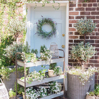 4.5' Artificial Olive Double Topiary Silk Tree