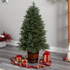 5' Colorado Aspen Pre-Lit Porch Artificial Christmas Tree