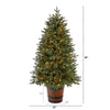 5' Colorado Aspen Pre-Lit Porch Artificial Christmas Tree