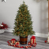 5' Colorado Aspen Pre-Lit Porch Artificial Christmas Tree
