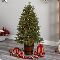 5' Colorado Aspen Pre-Lit Porch Artificial Christmas Tree