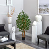 5' Ficus Bushy Silk Artificial Tree