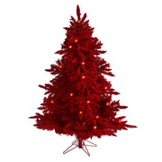 5' Red Flocked Fraser Fir Artificial Christmas Tree, 250 red colored lights and 26 globe bulbs