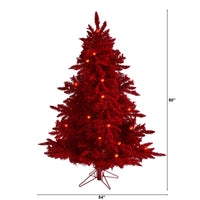 5' Red Flocked Fraser Fir Artificial Christmas Tree, 250 red colored lights and 26 globe bulbs