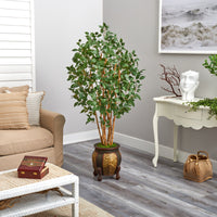 5.5' Ficus Bushy Artificial Tree in Decorative Planter