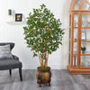 5.5' Ficus Bushy Artificial Tree in Decorative Planter