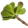 6” Artificial Echeveria Succulent (Set of 12)