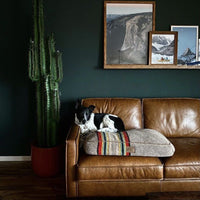 6.5’ Cactus Artificial Plant