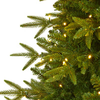 6.5’ Colorado Mountain Fir “Natural Look” Artificial Christmas Tree with 400 Clear LED Lights & 2056 Bendable Branches