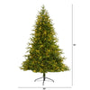 6.5’ Colorado Mountain Fir “Natural Look” Artificial Christmas Tree with 400 Clear LED Lights & 2056 Bendable Branches