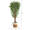 70” Variegated Artificial Ficus Tree in Jute & Cotton Planter UV Resistant (Indoor/Outdoor)