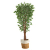 70” Variegated Artificial Ficus Tree in Jute & Cotton Planter UV Resistant (Indoor/Outdoor)