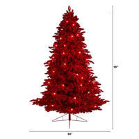 8' Red Flocked Fraser Fir Artificial Christmas Tree W/700 Red Colored Lights