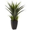 Artificial Agave w/Black Planter