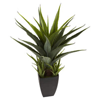 Artificial Agave w/Black Planter