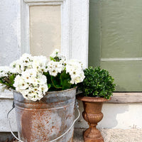 Artificial Geraniums Bush UV Resistant (Set of 3)