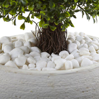 Boxwood Artificial Topiary with White Planter UV Resistant (Indoor/Outdoor)