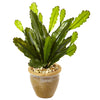 Artificial Cactus in Glazed Clay Pot