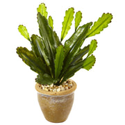 Artificial Cactus in Glazed Clay Pot