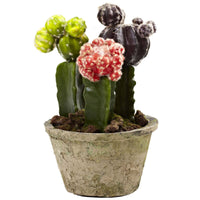 Artificial Colorful Cactus Gardens (Set of 2)