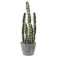 Decorative Artificial Cactus Garden With Cement Planter