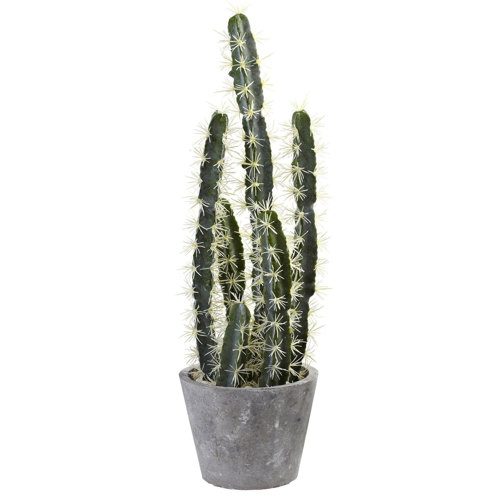 Decorative Artificial Cactus Garden With Cement Planter