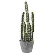 Decorative Artificial Cactus Garden With Cement Planter