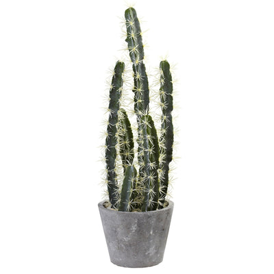Decorative Artificial Cactus Garden With Cement Planter