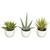 Southwest Artificial Succulent Collection - Set of 3