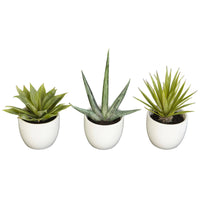 Southwest Artificial Succulent Collection - Set of 3