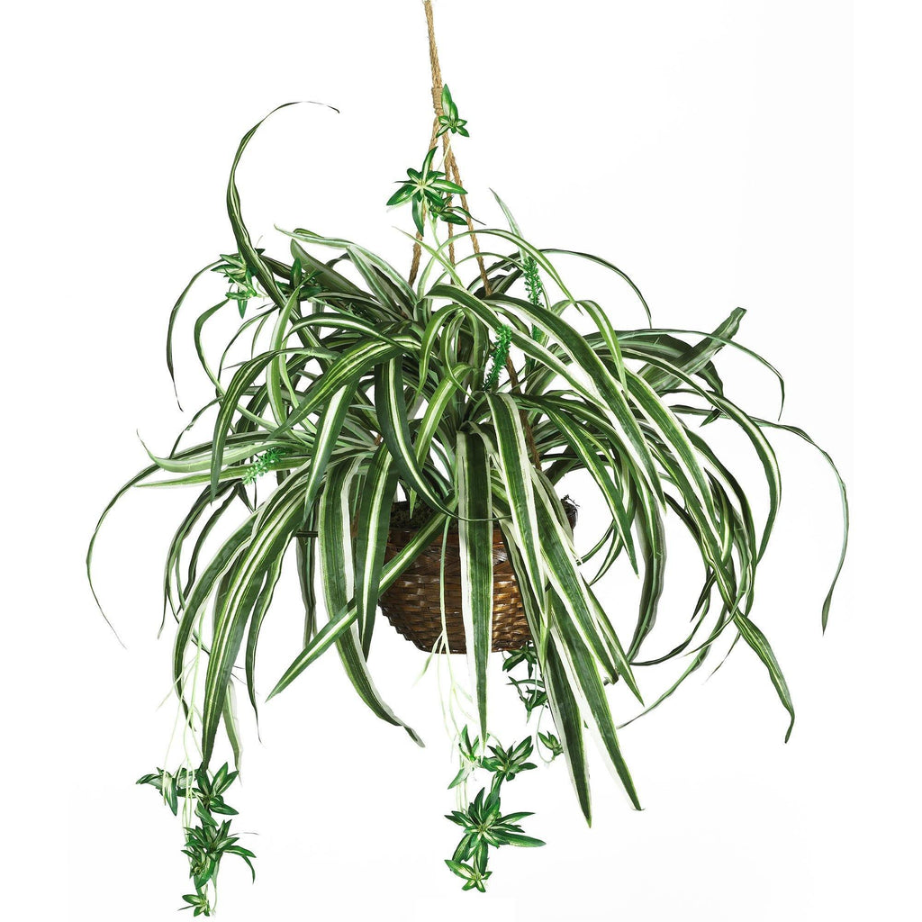 Artificial Spider Hanging Basket Silk Plant