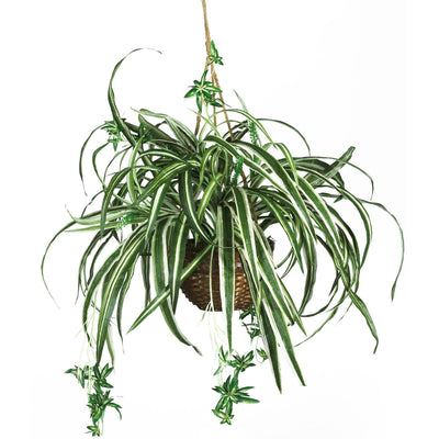 Artificial Spider Hanging Basket Silk Plant
