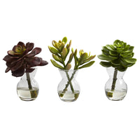 Artificial Succulent Arrangements (Set of 3)