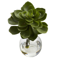 Artificial Succulent Arrangements (Set of 3)