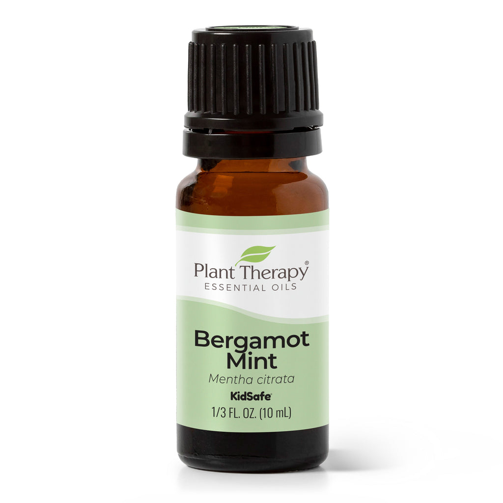 Bergamot Mint Essential Oil By Plant Therapy