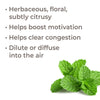 Bergamot Mint Essential Oil By Plant Therapy