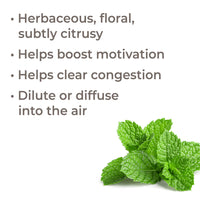 Bergamot Mint Essential Oil By Plant Therapy