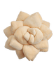 Big Pop Succulent® 20" Plant Pillow - Blush Peach
