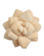 Big Pop Succulent® 20" Plant Pillow - Blush Peach