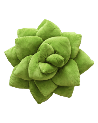 Big Pop Succulent® - 20